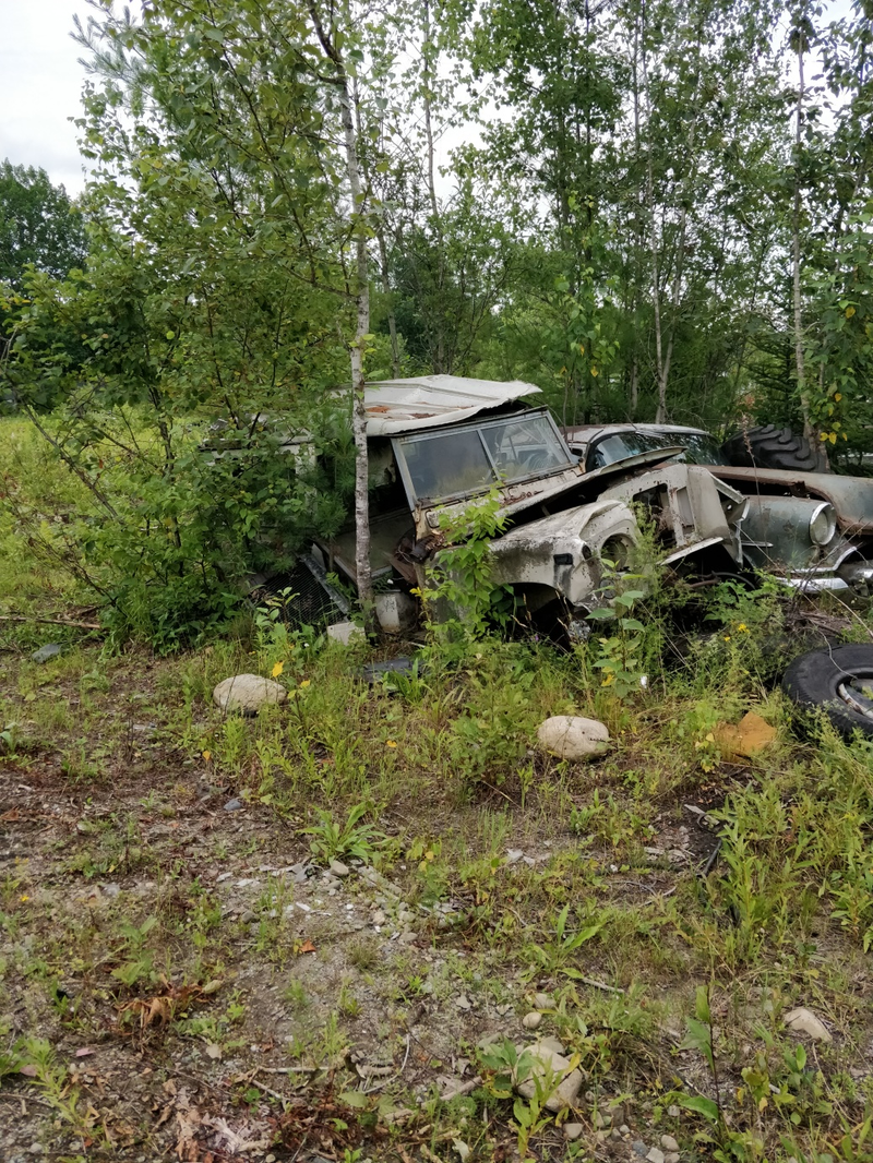 the aluminium is still good, right? Pulled a lovely AutoLite horn off the Rover sedan hidden in the bushes behind it.